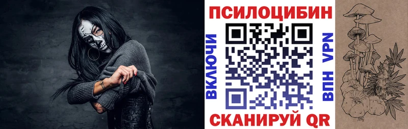 Галлюциногенные грибы Psilocybe  Невьянск 